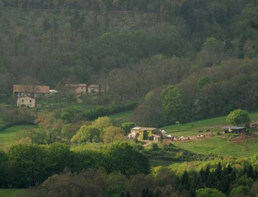 AGRITURISMO CORNACCHINO