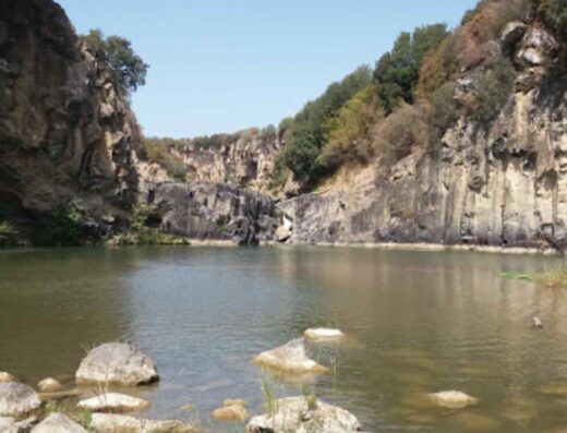 FATTORIA PARCO DEGLI ULIVI