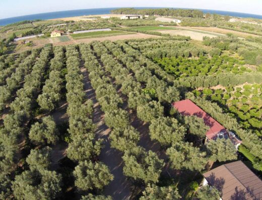 AGRICAMPEGGIO BIOLOGICO IL MARESCIALLO