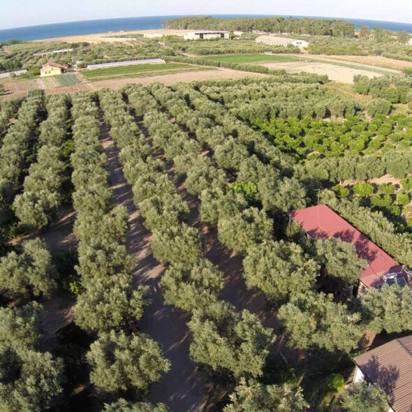 Agricampeggio biologico il maresciallo