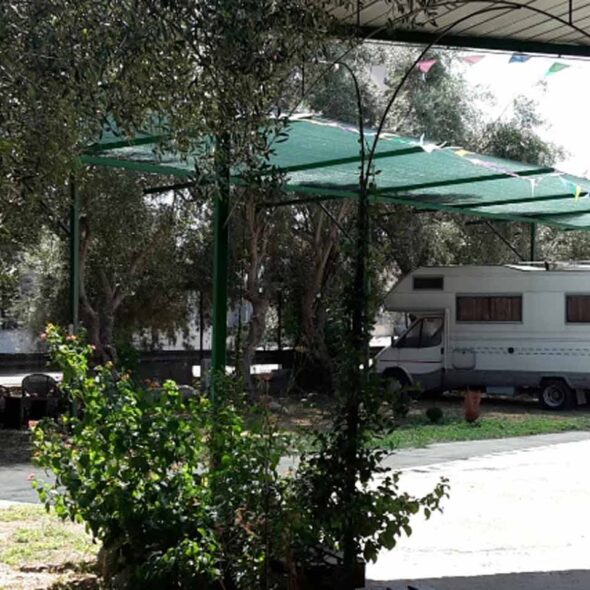 Ippocamper