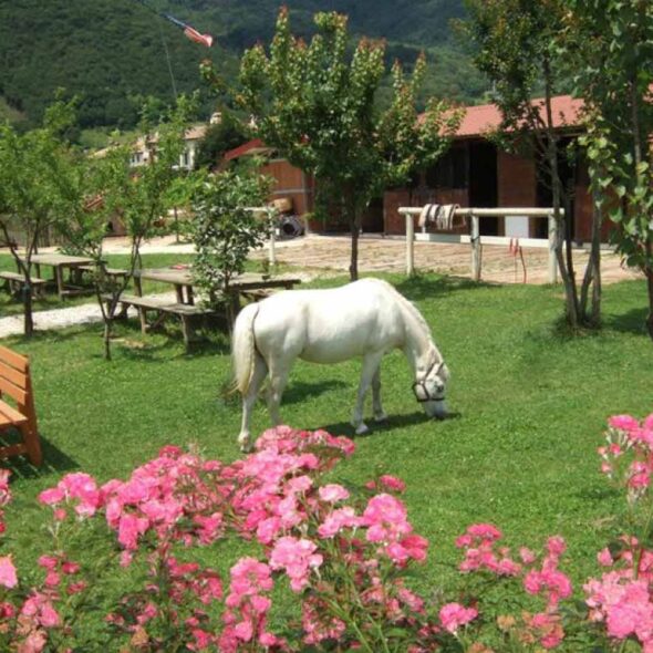 La dolza