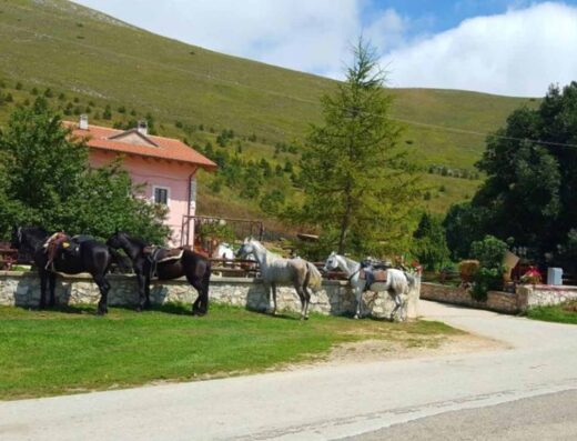 AGRITURISMO LA GIULIANA
