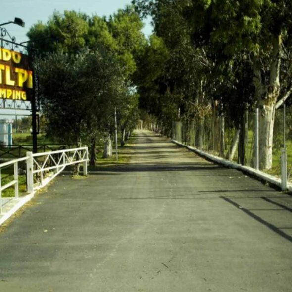 Lido salpi