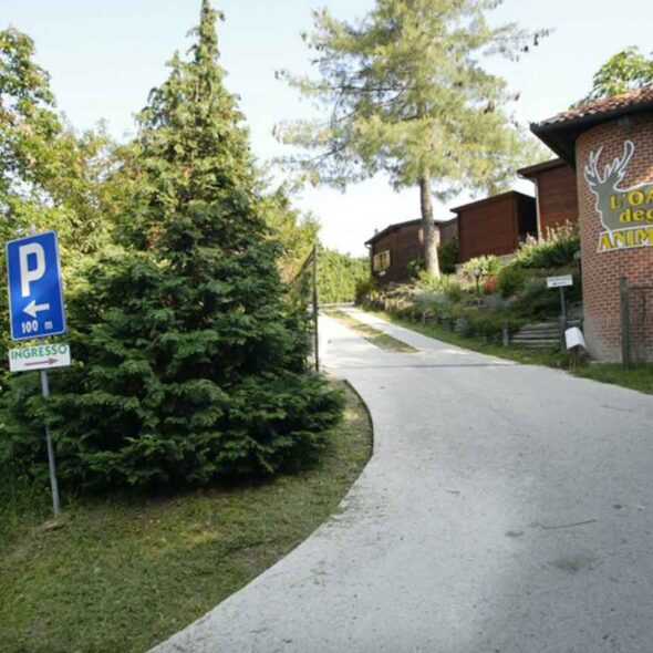L'oasi degli animali
