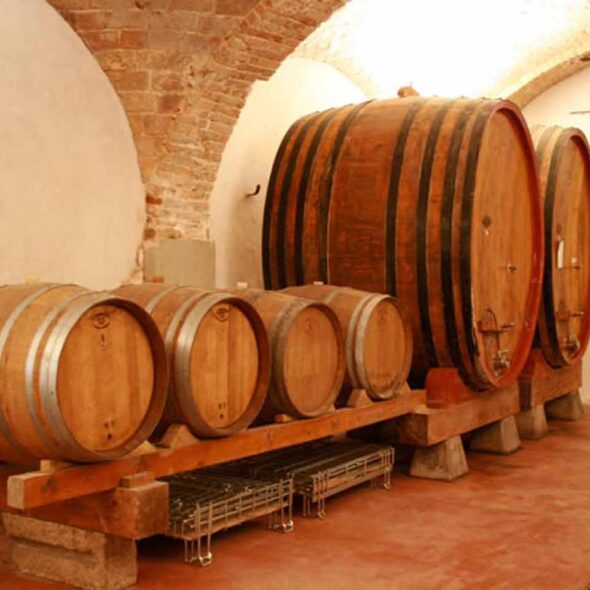 Azienda agricola olivetta