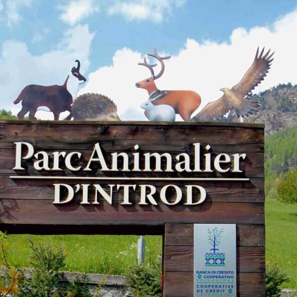 Parc animalier d'introd
