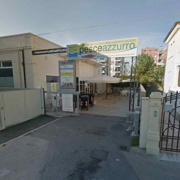 Pesceazzurro