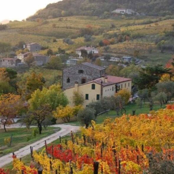 Podere villa alessi