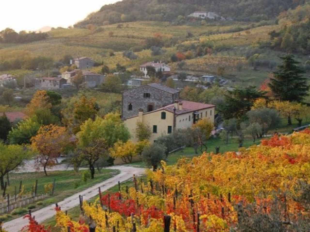 Agricampeggi vicino ai parchi: il Podere Villa Alessi a Cinto Euganeo (PD).