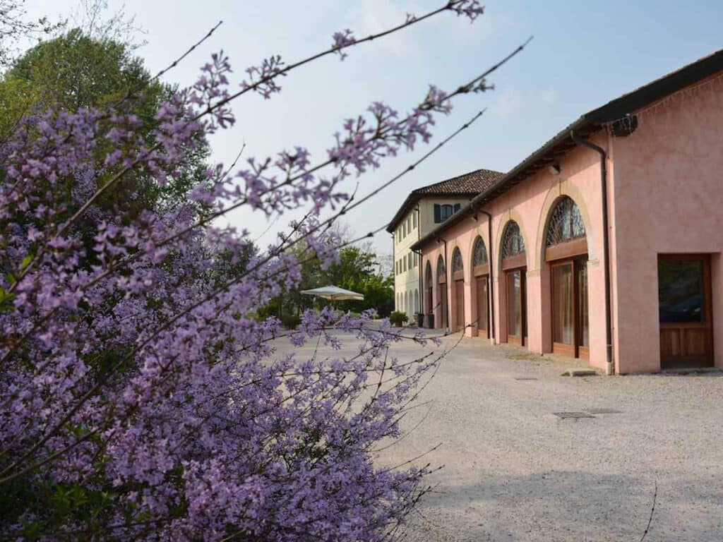 Gli sconti nelle cantine per il vino: la Cantina Rechsteiner a Piavon di Oderzo (TV).