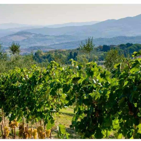 Podere santa clorinda
