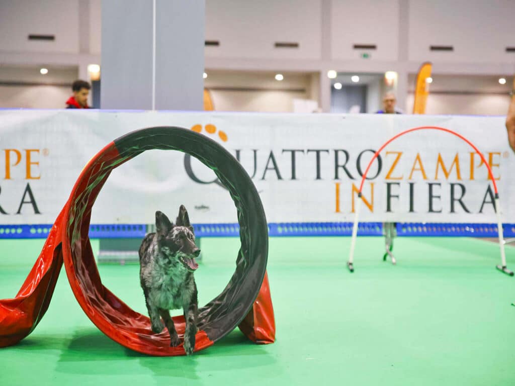 Quattrozampeinfiera a Milano con lo sconto offerto dalla tessera del PLEINAIRCLUB.