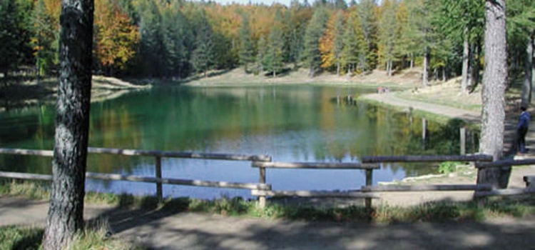 Azienda agrituristica la cervarola