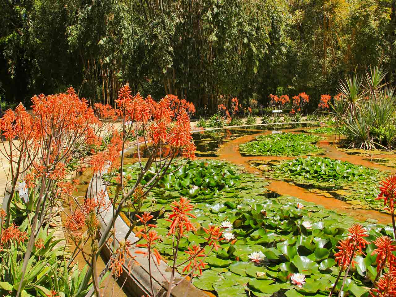 Orto Botanico dell'Università di Palermo