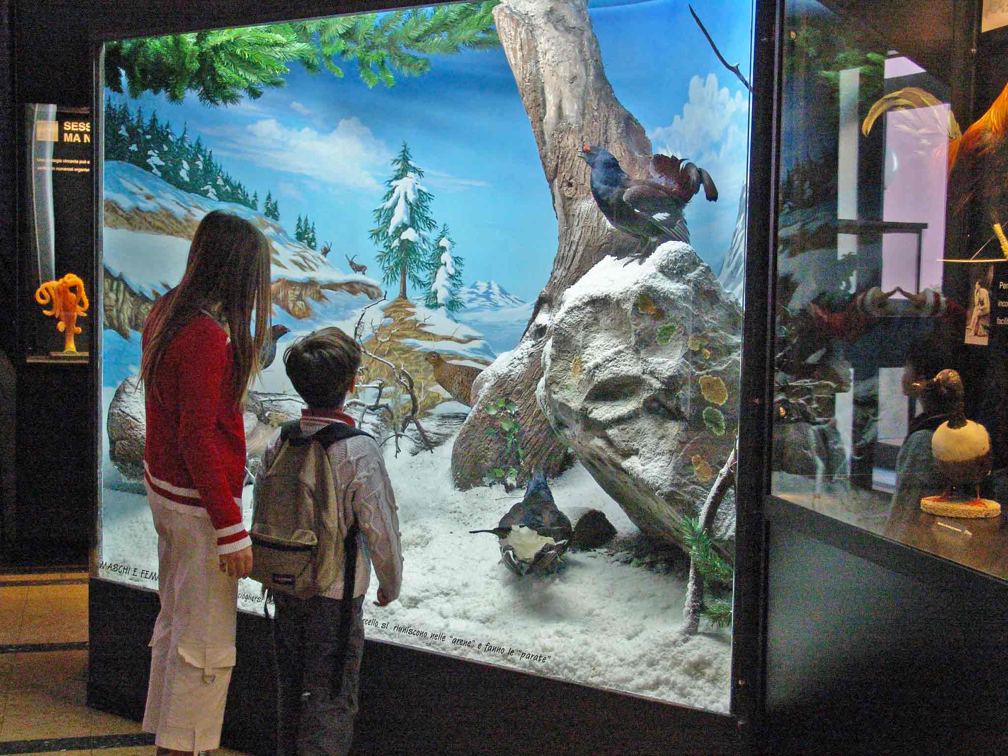 Museo Civico di Zoologia di Roma - 5 musei per le famiglie.