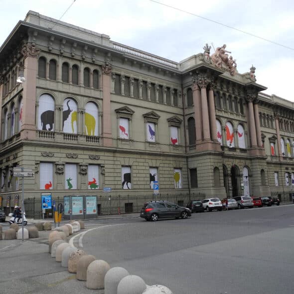 Musei di genova - museo di storia naturale giacomo doria