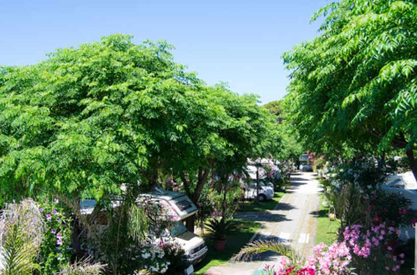 Sosta camper san felice circeo