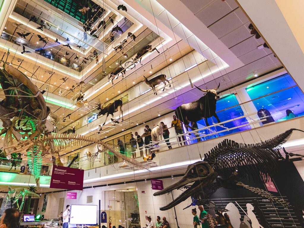 La hall del MUSE, il Museo delle Scienze di Trento che puoi visitare con lo sconto offerto dalla tessera del PLEINAIRCLUB.