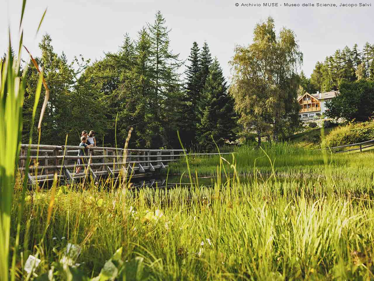 Il Giardino Botanico Alpino alle Viote di Monte Bondone.