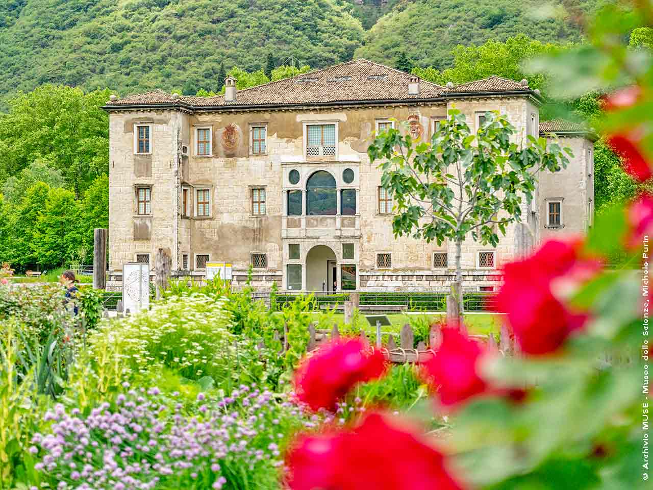 Il Palazzo delle Albere, una delle sedi territoriali del MUSE di Trento, che puoi visitare con lo sconto offerto dalla tessera del PLEINAIRCLUB.