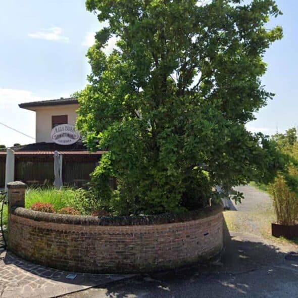 Trattoria osteria alla busa