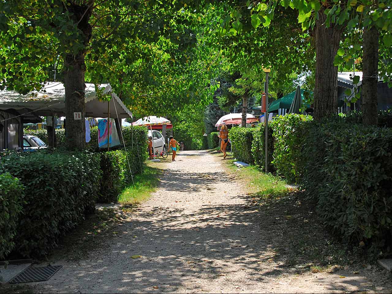 Trevisago