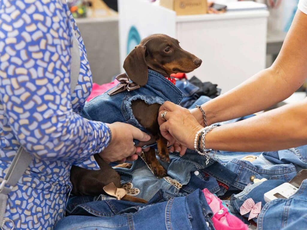 Moda per cani.
