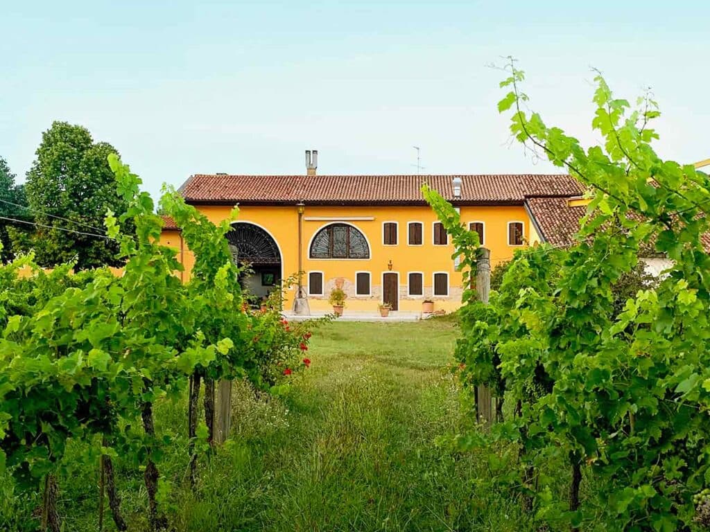 Cantina Tessèere a Noventa di Piave (VE).