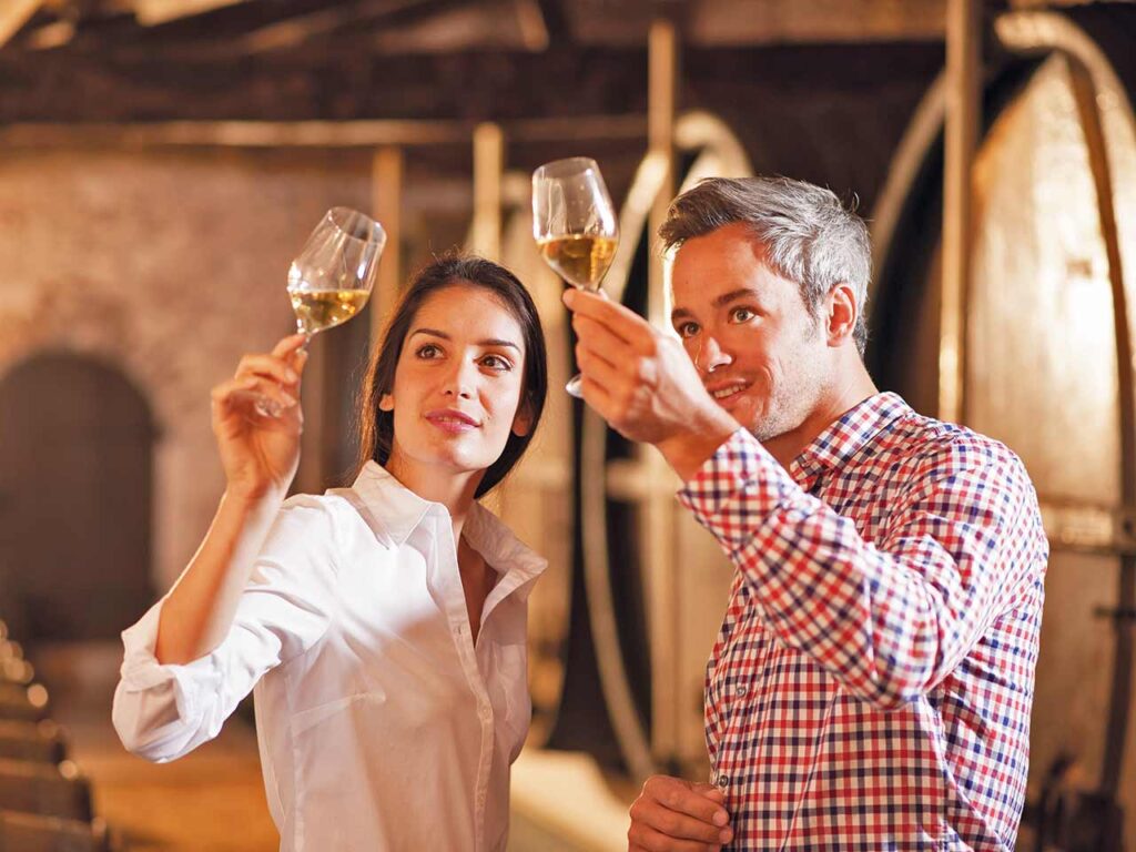 Degustazione di vino in cantina, tra le cose da fare questo autunno in camper secondo il PLEINAIRCLUB.