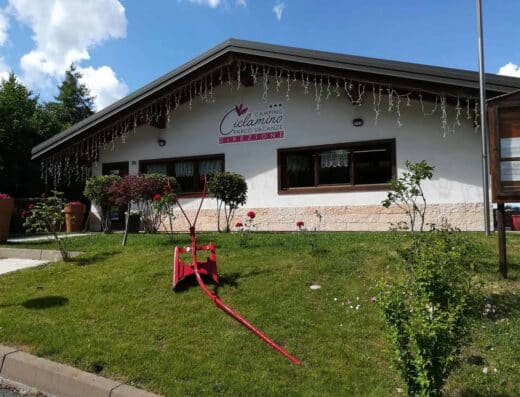 CAMPING CICLAMINO