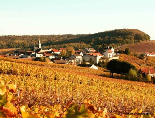 CAMPING MUNICIPAL D’EPERNAY