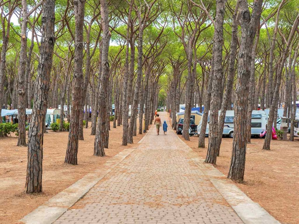 Le piazzole del campeggio.