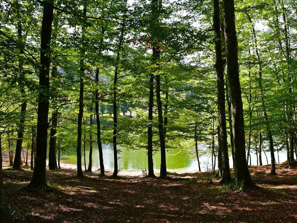 Il Laghetto o Cutino d'Umbra, all'interno della Foresta Umbra.