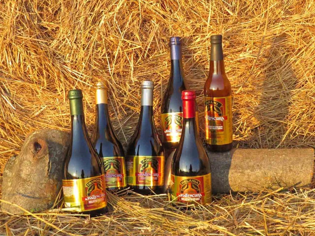 Alcune bottiglie di birra dell'Agriturismo Birrificio Maltificio La Vallescura a Piozzano (PC), che puoi acquistare con l'offerta birra del PLEINAIRCLUB.