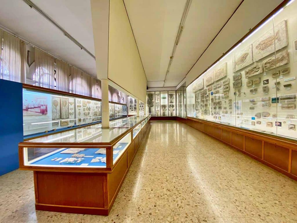La Sala Bolca del Museo di Storia Naturale di Verona.