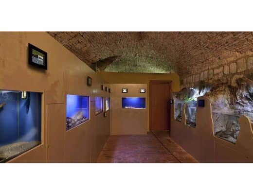 ACQUARIO DI BOLSENA