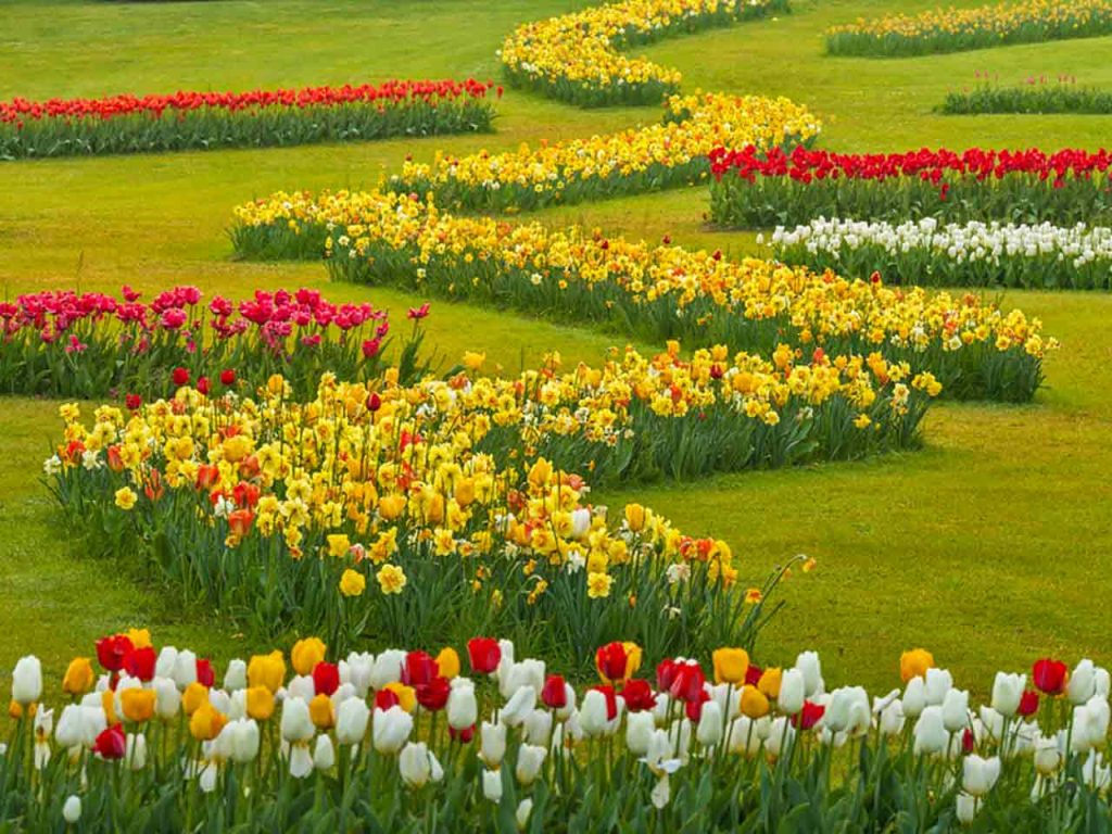 Le fioriture primaverili al Parco Giardino Sigurtà a Valeggio sul Mincio (VR). Ammirare le fioriture è una casa da fare questa primavera in camper consigliata dal PLEINAIRCLUB.