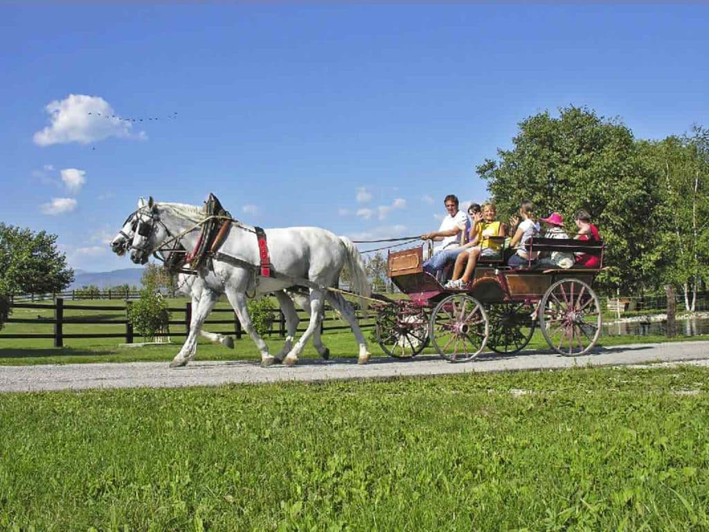 Un'attività con i bambini all'Agriturismo Gelindo dei Magredi, uno tra i migliori agriturismi con fattoria didattica in Friuli Venezia Giulia.