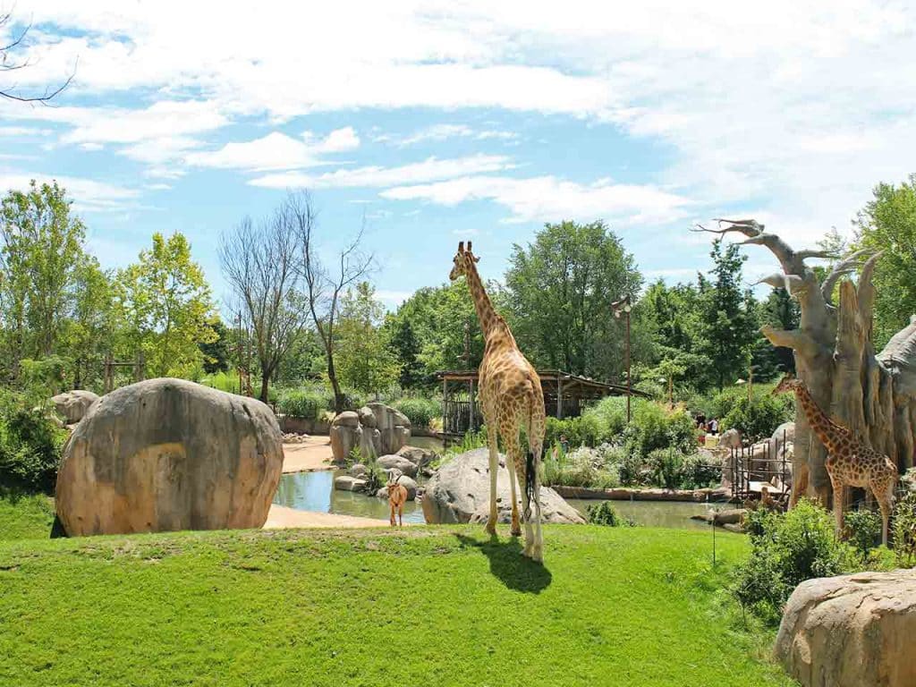 ZOOM Torino a Cumiana (TO), uno dei parchi naturali, bioparchi e oasi WWF che puoi visitare approfittando dello sconto offerto dalla tessera PLEINAIRCLUB.