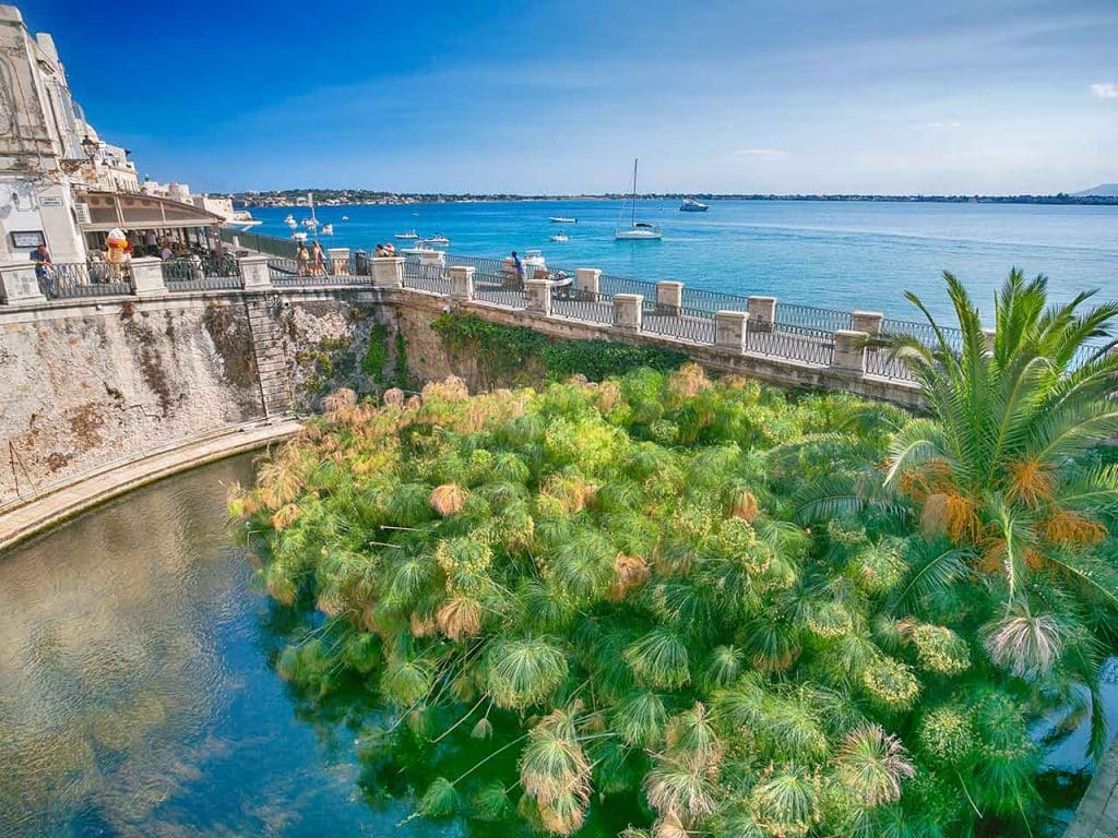 La Fontana di Aretusa a Siracusa.